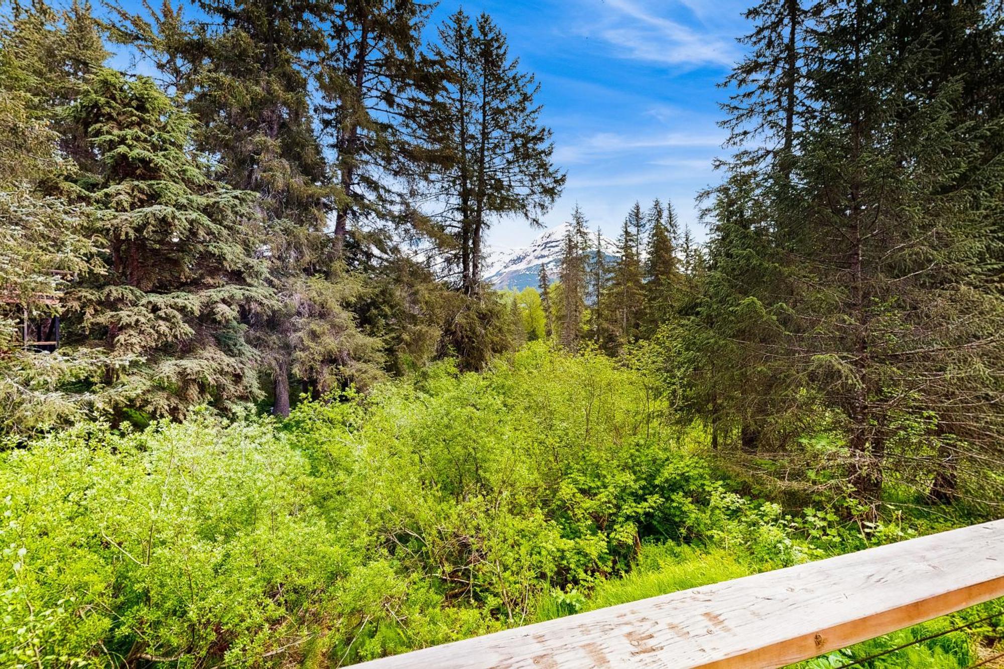 Вілла Girdwood Mountain House Екстер'єр фото